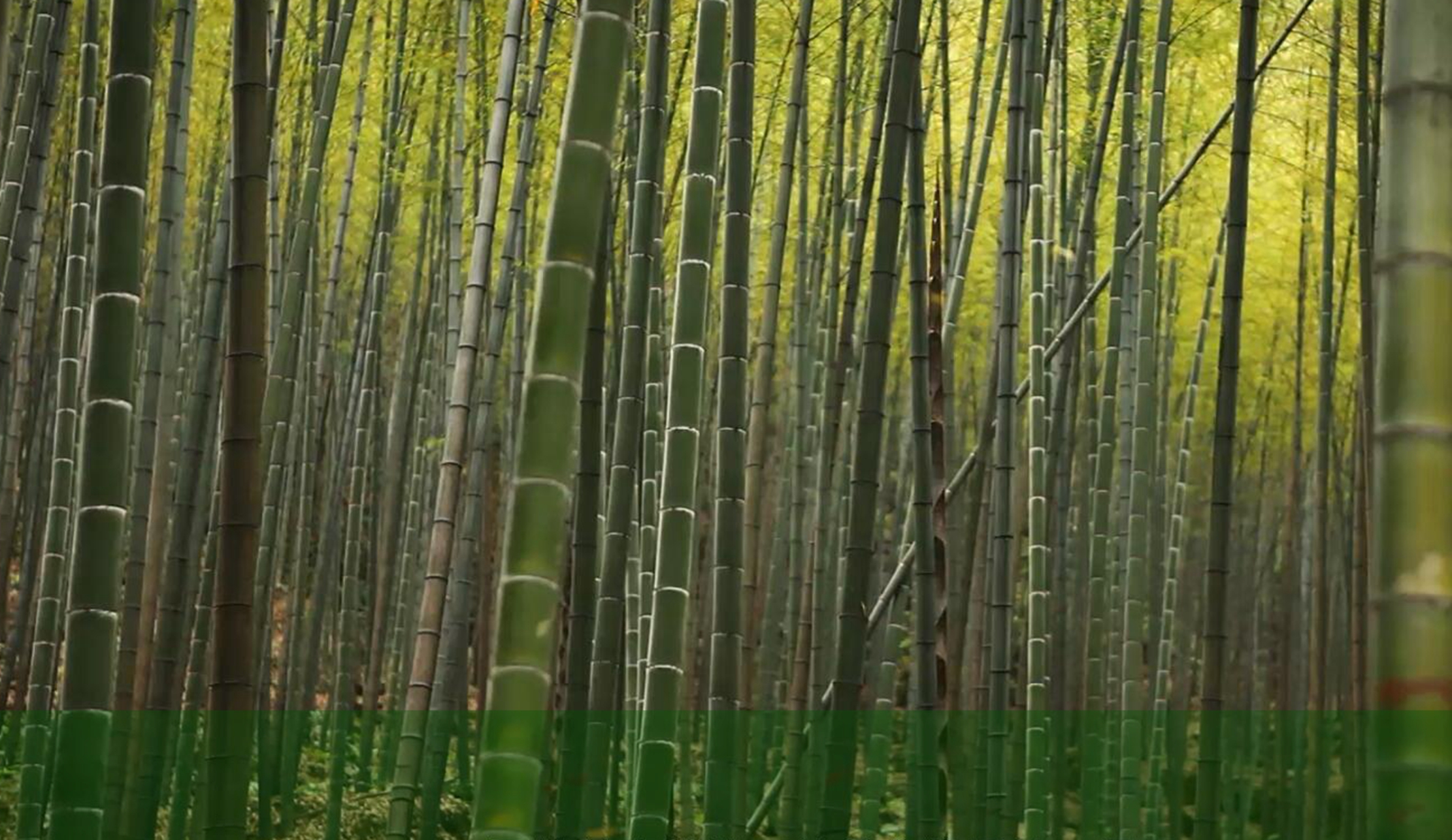 人生就是博_首页入口